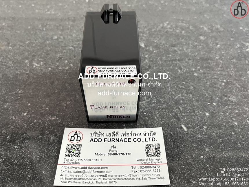 Flame Relay TYPE-FER-002 AC100V (1)